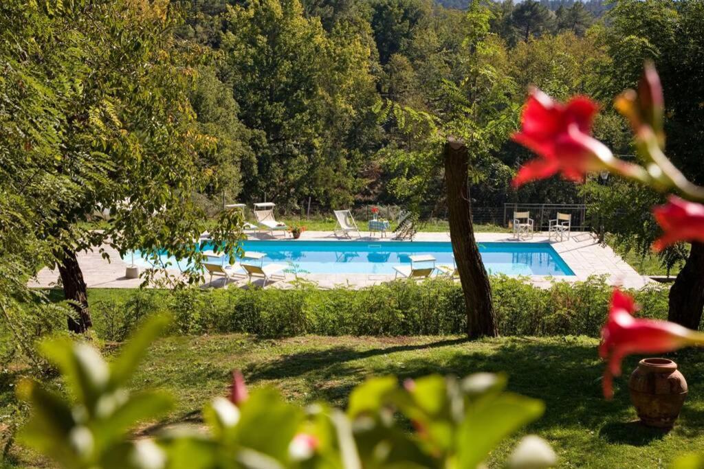 Villa Liz Tuscany, Private Pool, Hot Tub, Property Fenced, Pets Allowed Poppi Luaran gambar